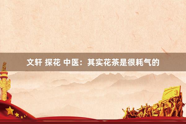 文轩 探花 中医：其实花茶是很耗气的