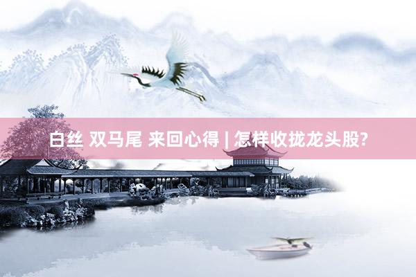白丝 双马尾 来回心得 | 怎样收拢龙头股?