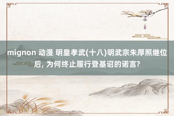 mignon 动漫 明皇孝武(十八)明武宗朱厚照继位后， 为何终止履行登基诏的诺言?